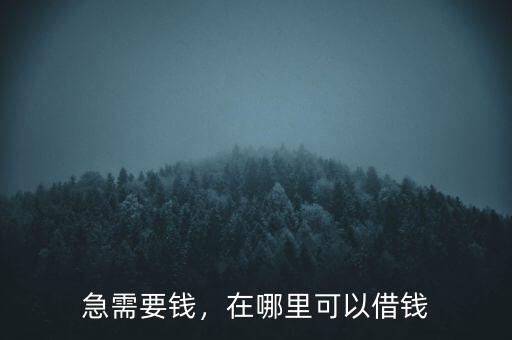 急需要錢，在哪里可以借錢