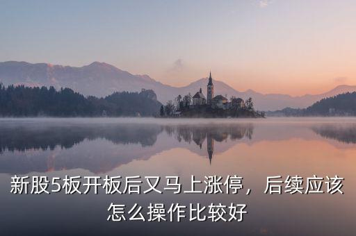 新股5板開板后又馬上漲停，后續(xù)應(yīng)該怎么操作比較好