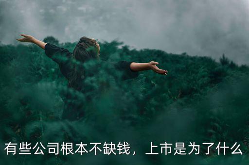 有些公司根本不缺錢，上市是為了什么