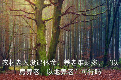 農(nóng)村老人沒退休金、養(yǎng)老難題多，“以房養(yǎng)老、以地養(yǎng)老”可行嗎