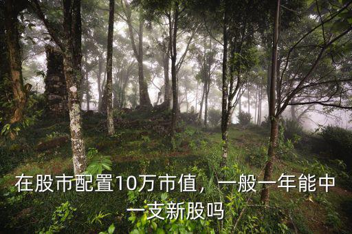在股市配置10萬市值，一般一年能中一支新股嗎