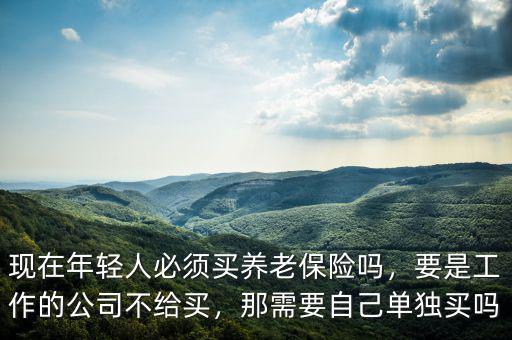 現(xiàn)在年輕人必須買養(yǎng)老保險嗎，要是工作的公司不給買，那需要自己單獨買嗎