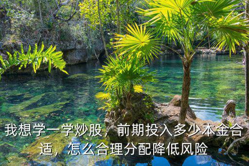 我想學(xué)一學(xué)炒股，前期投入多少本金合適，怎么合理分配降低風(fēng)險
