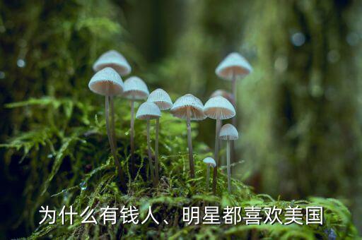 為什么有錢人、明星都喜歡美國