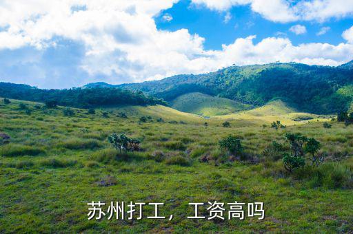 蘇州打工，工資高嗎