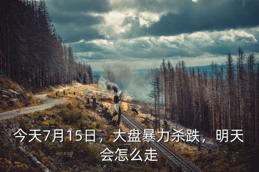 今天7月15日，大盤暴力殺跌，明天會(huì)怎么走