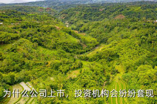 為什么公司上市，投資機(jī)構(gòu)會(huì)紛紛套現(xiàn)