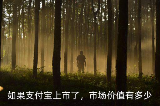 如果支付寶上市了，市場(chǎng)價(jià)值有多少
