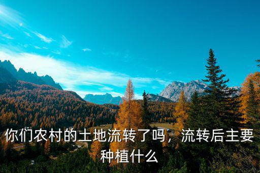 你們農(nóng)村的土地流轉(zhuǎn)了嗎，流轉(zhuǎn)后主要種植什么