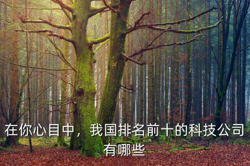 在你心目中，我國排名前十的科技公司有哪些