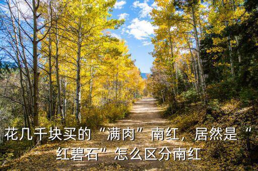 南紅是怎么炒起來(lái)的,花幾千塊買(mǎi)的滿肉南紅