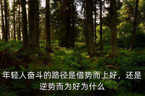 年輕人奮斗的路徑是借勢(shì)而上好，還是逆勢(shì)而為好為什么