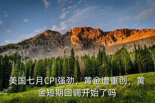 美國(guó)七月CPI強(qiáng)勁，黃金遭重創(chuàng)，黃金短期回調(diào)開(kāi)始了嗎