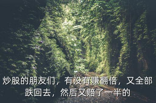 炒股的朋友們，有沒有賺翻倍，又全部跌回去，然后又賠了一半的