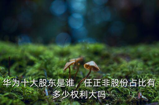 華為十大股東是誰，任正非股份占比有多少權(quán)利大嗎