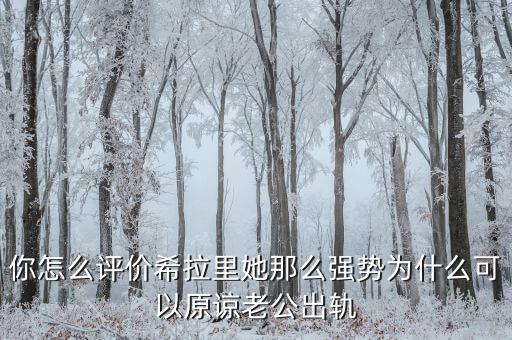 你怎么評(píng)價(jià)希拉里她那么強(qiáng)勢為什么可以原諒老公出軌