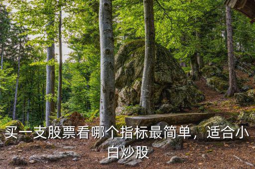 美國(guó)股市看什么指標(biāo),買(mǎi)一支股票看哪個(gè)指標(biāo)最簡(jiǎn)單