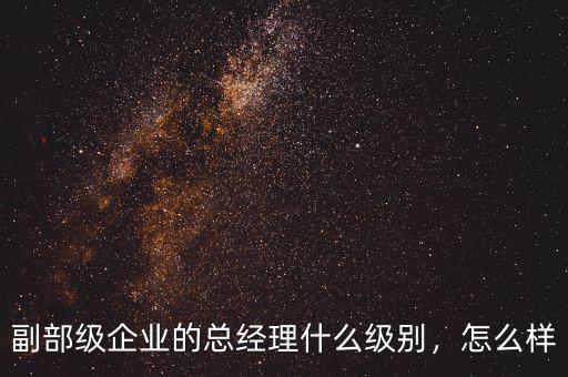 副部級(jí)企業(yè)的總經(jīng)理什么級(jí)別，怎么樣