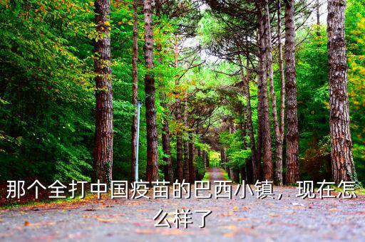 那個全打中國疫苗的巴西小鎮(zhèn)，現(xiàn)在怎么樣了