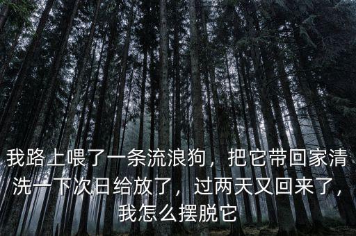 我路上喂了一條流浪狗，把它帶回家清洗一下次日給放了，過兩天又回來了，我怎么擺脫它