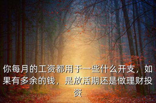 你每月的工資都用于一些什么開(kāi)支，如果有多余的錢，是放活期還是做理財(cái)投資