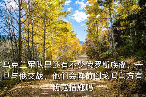 烏克蘭軍隊(duì)里還有不少俄羅斯族裔，一旦與俄交戰(zhàn)，他們會(huì)陣前倒戈嗎烏方有防范措施嗎