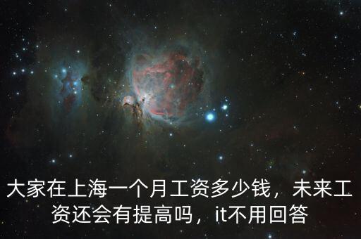 大家在上海一個月工資多少錢，未來工資還會有提高嗎，it不用回答