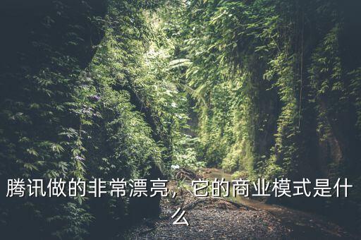 騰訊做的非常漂亮，它的商業(yè)模式是什么