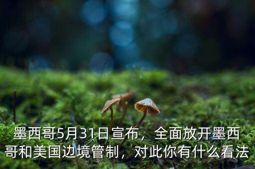 墨西哥5月31日宣布，全面放開墨西哥和美國邊境管制，對此你有什么看法