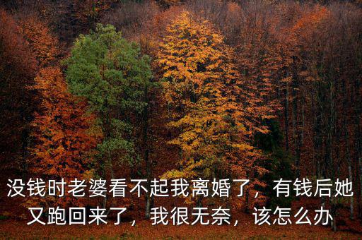 沒錢時老婆看不起我離婚了，有錢后她又跑回來了，我很無奈，該怎么辦