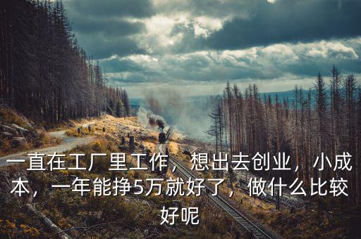 一直在工廠里工作，想出去創(chuàng)業(yè)，小成本，一年能掙5萬就好了，做什么比較好呢