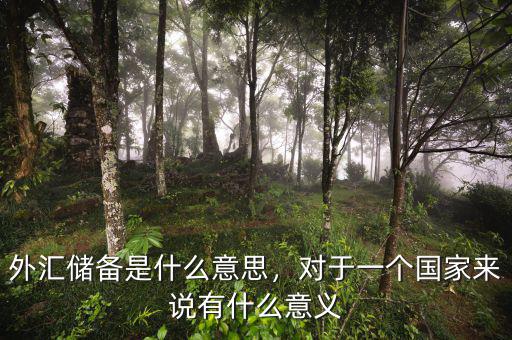 外匯儲(chǔ)備是什么意思，對于一個(gè)國家來說有什么意義