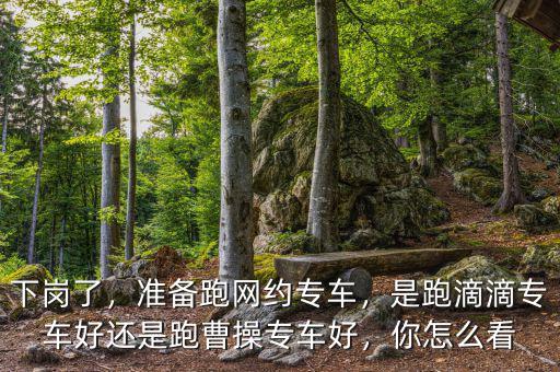 下崗了，準備跑網(wǎng)約專車，是跑滴滴專車好還是跑曹操專車好，你怎么看