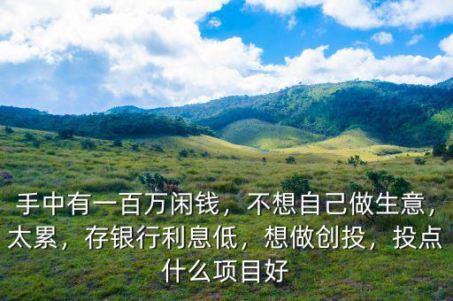 手中有一百萬閑錢，不想自己做生意，太累，存銀行利息低，想做創(chuàng)投，投點什么項目好