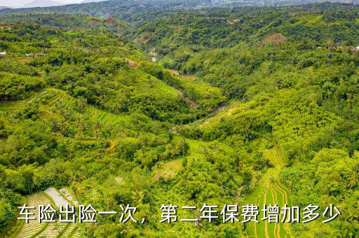 車險(xiǎn)出險(xiǎn)一次，第二年保費(fèi)增加多少