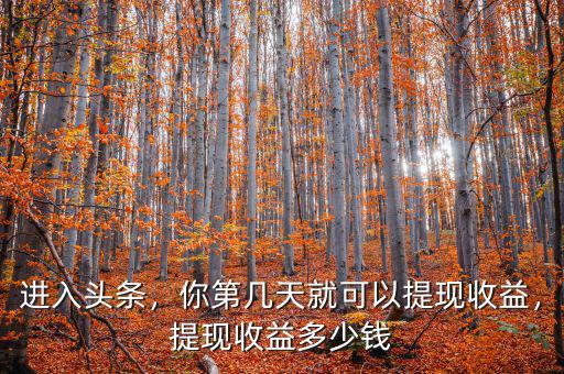 進(jìn)入頭條，你第幾天就可以提現(xiàn)收益，提現(xiàn)收益多少錢