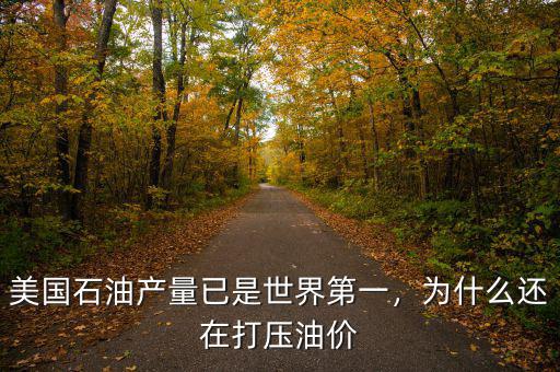 美國石油產量已是世界第一，為什么還在打壓油價