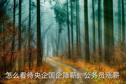 怎么看待央企國(guó)企降薪，公務(wù)員漲薪