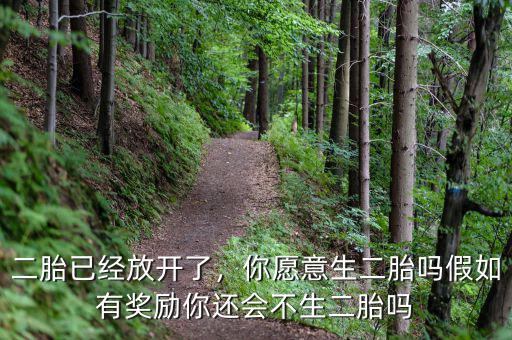 二胎已經(jīng)放開了，你愿意生二胎嗎假如有獎勵你還會不生二胎嗎