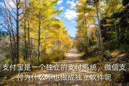 支付寶是一個(gè)獨(dú)立的支付系統(tǒng)，微信支付為什么不也做成獨(dú)立軟件呢