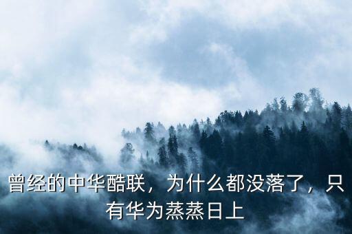 曾經的中華酷聯，為什么都沒落了，只有華為蒸蒸日上