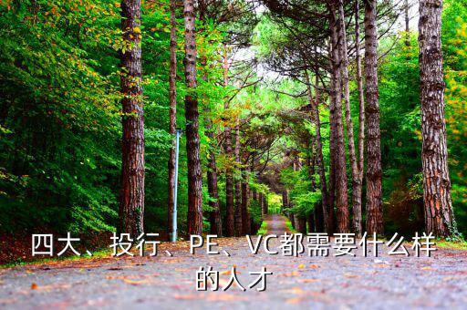 四大、投行、PE、VC都需要什么樣的人才