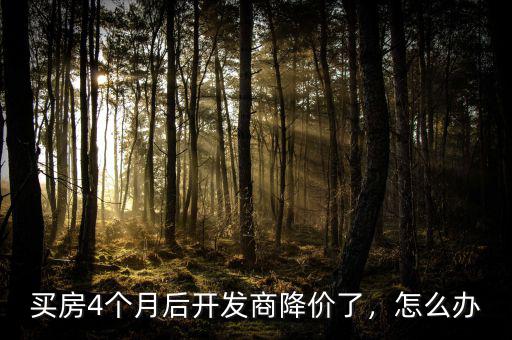 買房4個月后開發(fā)商降價了，怎么辦