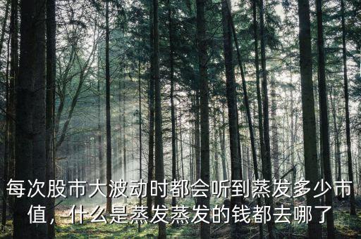 股災(zāi)蒸發(fā)了多少錢(qián),蒸發(fā)的錢(qián)都去哪了