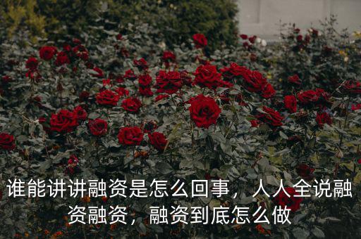 誰能講講融資是怎么回事，人人全說融資融資，融資到底怎么做