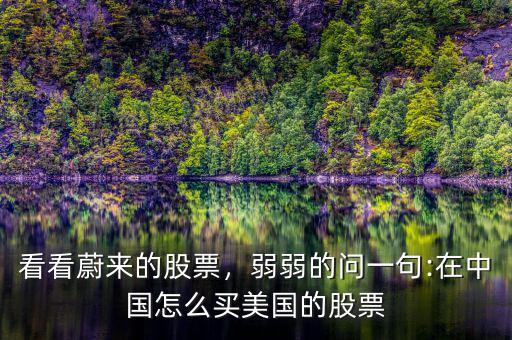 看看蔚來(lái)的股票，弱弱的問(wèn)一句:在中國(guó)怎么買(mǎi)美國(guó)的股票