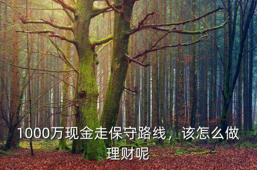 1000萬現(xiàn)金走保守路線，該怎么做理財(cái)呢