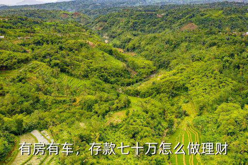 有房有車，存款七十萬怎么做理財(cái)