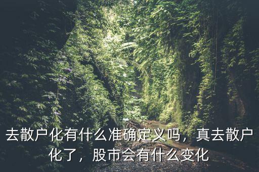 去散戶化有什么準(zhǔn)確定義嗎，真去散戶化了，股市會(huì)有什么變化