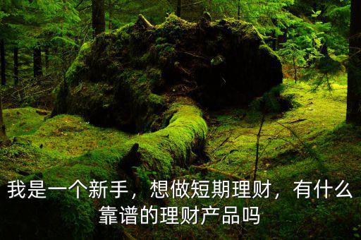 我是一個(gè)新手，想做短期理財(cái)，有什么靠譜的理財(cái)產(chǎn)品嗎